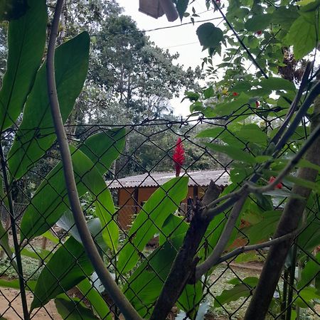 Sitio Das Bromelias Cachoeira Do Tombador Ubatuba Zewnętrze zdjęcie