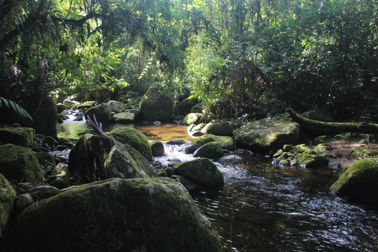 Sitio Das Bromelias Cachoeira Do Tombador Ubatuba Zewnętrze zdjęcie