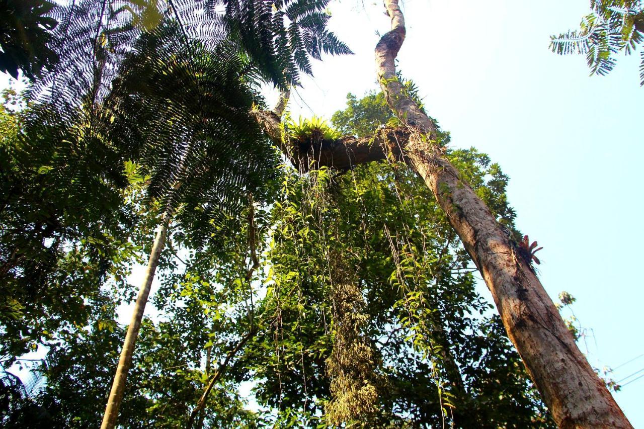 Sitio Das Bromelias Cachoeira Do Tombador Ubatuba Zewnętrze zdjęcie