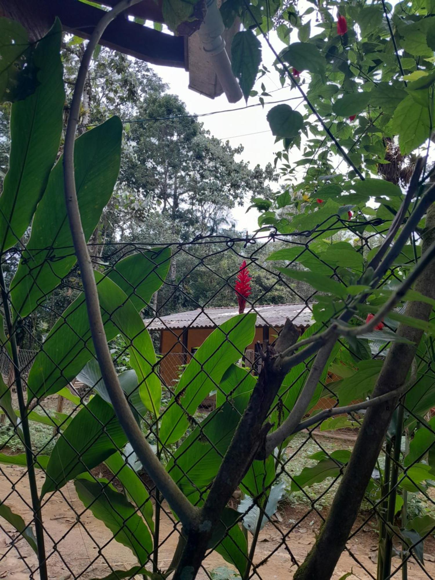 Sitio Das Bromelias Cachoeira Do Tombador Ubatuba Zewnętrze zdjęcie